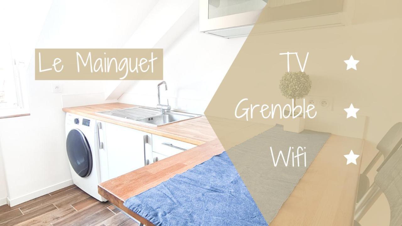 Le Mainguet - Appartement Cosy - Grenoble Zewnętrze zdjęcie