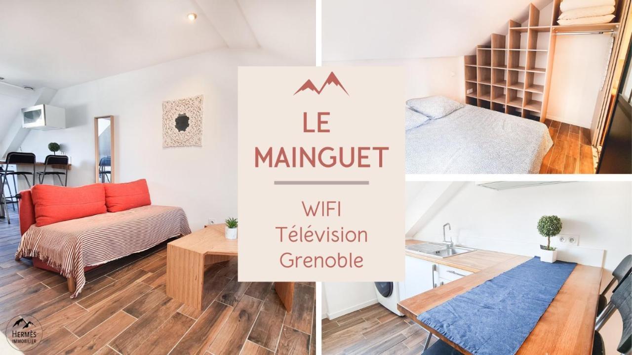 Le Mainguet - Appartement Cosy - Grenoble Zewnętrze zdjęcie